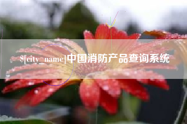 海安中国消防产品查询系统