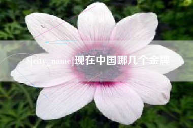 海安现在中国哪几个金牌