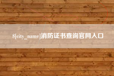 海安消防证书查询官网入口