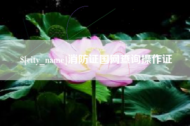 海安消防证国网查询操作证