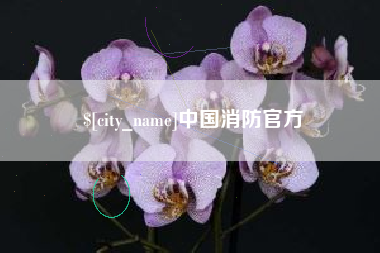 海安中国消防官方