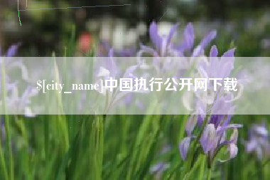 海安中国执行公开网下载