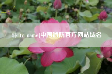 海安中国消防官方网站域名