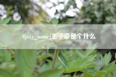 海安王子豪是个什么