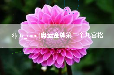 海安奥运金牌第二个九宫格