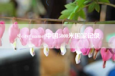 海安中国5000米国家记录