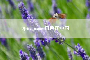 海安白色在中国