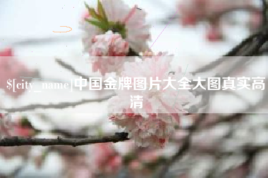 海安中国金牌图片大全大图真实高清