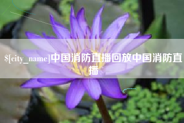 海安中国消防直播回放中国消防直播