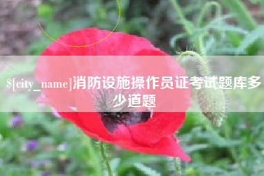 海安消防设施操作员证考试题库多少道题