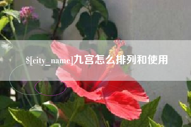 海安九宫怎么排列和使用