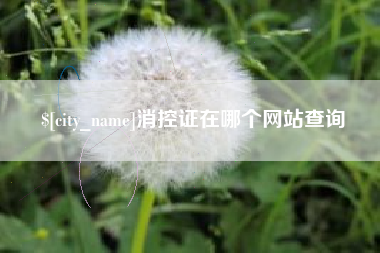 海安消控证在哪个网站查询