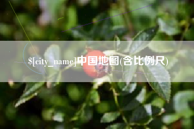 海安中国地图(含比例尺)