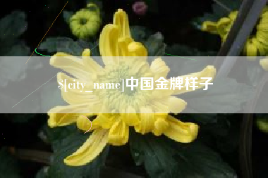 海安中国金牌样子