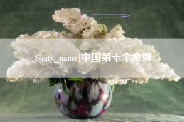海安中国第十个金牌