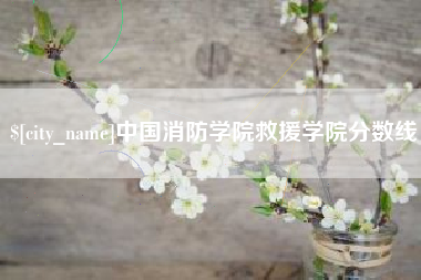 海安中国消防学院救援学院分数线