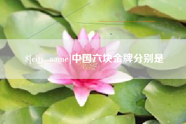 海安中国六块金牌分别是