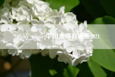 海安中国金牌有哪些2021
