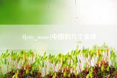 海安中国的几个金牌