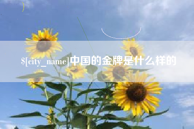 海安中国的金牌是什么样的
