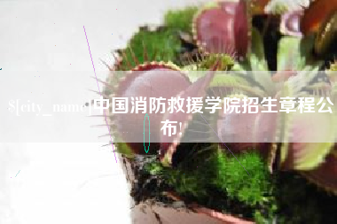 海安中国消防救援学院招生章程公布!