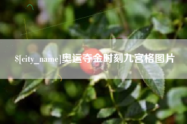 海安奥运夺金时刻九宫格图片
