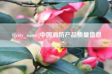 海安中国消防产品质量信息