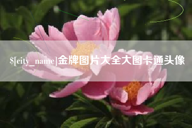海安金牌图片大全大图卡通头像