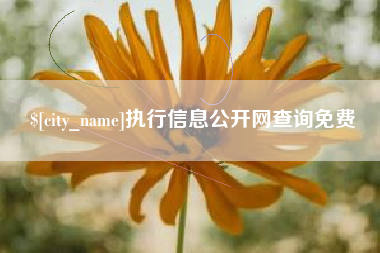 海安执行信息公开网查询免费