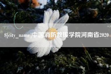 海安中国消防救援学院河南省2020